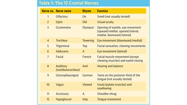 Cranial Nerves 1 12 Chart